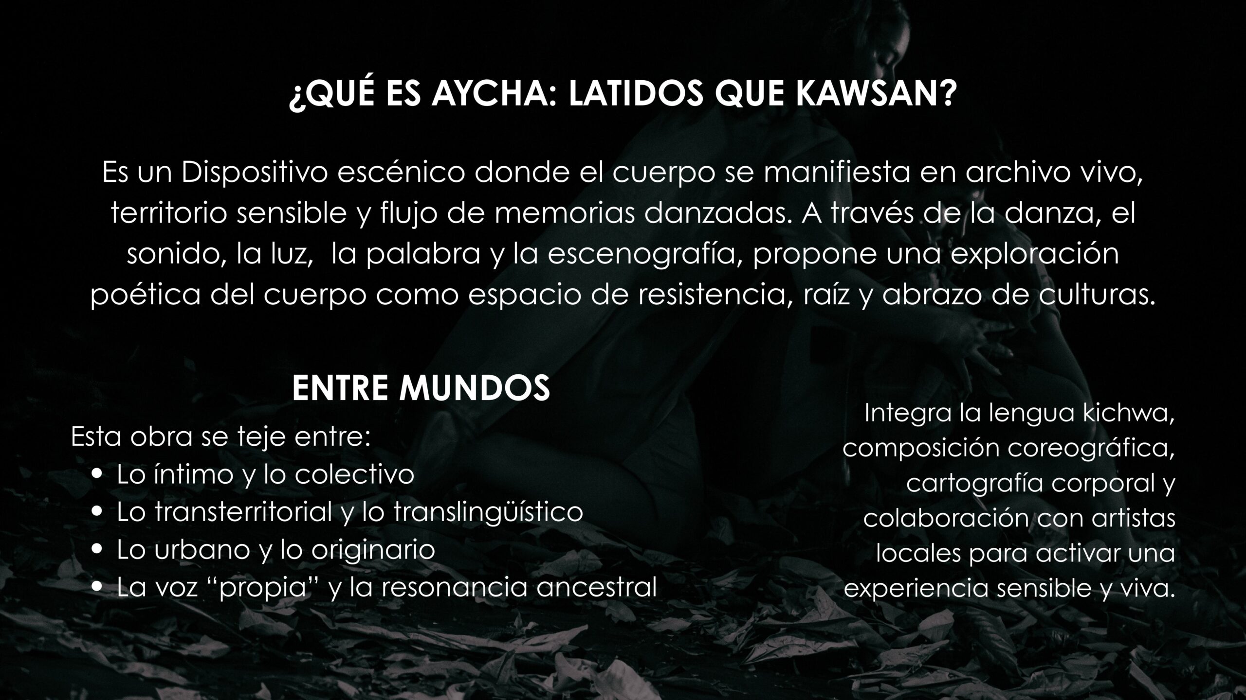 dossier aycha micpi imágenes 1